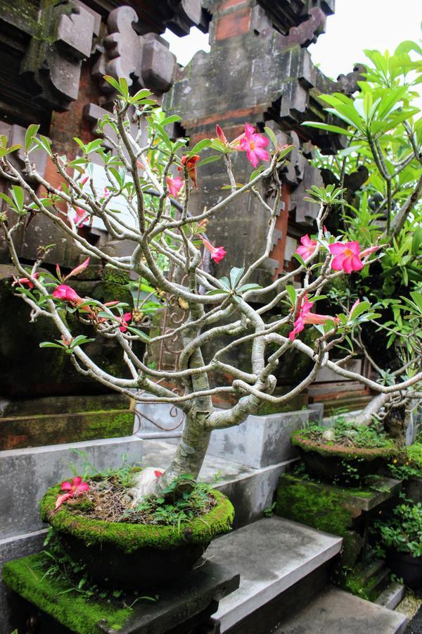Rama Homestay 우붓 외부 사진